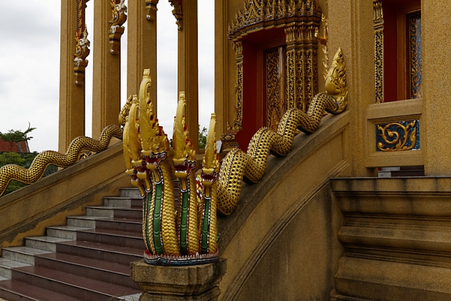 Talin chan-NOV13-095